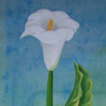 Flores thumbnail 1