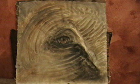 Look at the eye