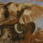 Look at the eye thumbnail 2