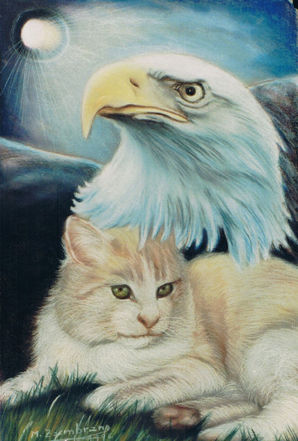 Aguila-gato