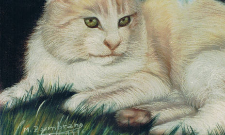 colección de pinturas al pastel