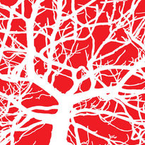 Árbol Negativo Rojo