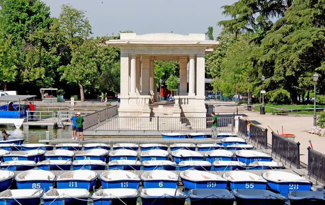 Paseo en una barca de remos 