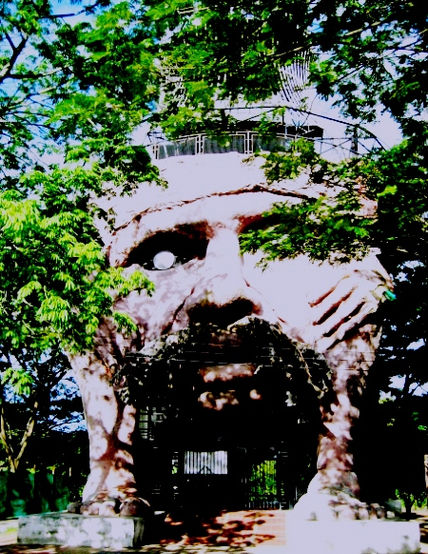 El mohan