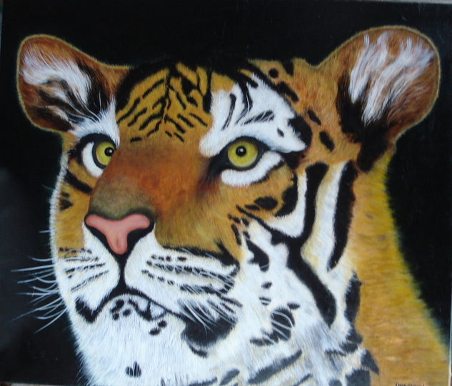 Tigre Deslumbrado Oil Canvas Animals