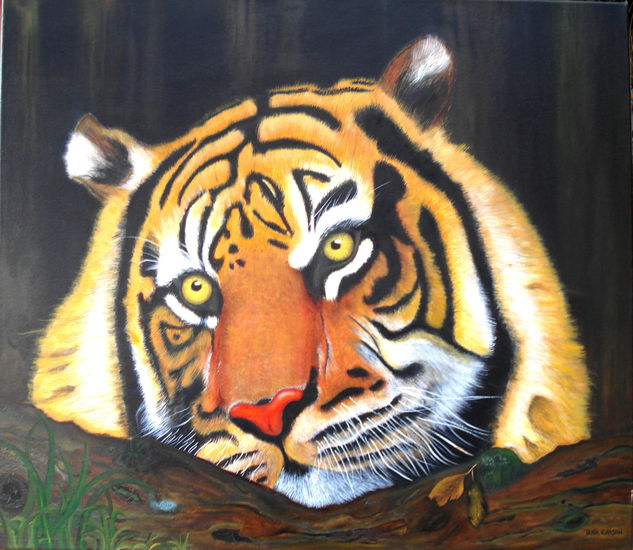 Tigre Paciente Oil Canvas Animals