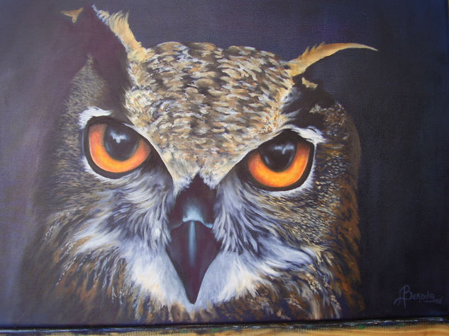 Mirada Nocturna Oil Canvas Animals