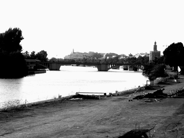 VISTA DE LA TORRE DEL ORO 