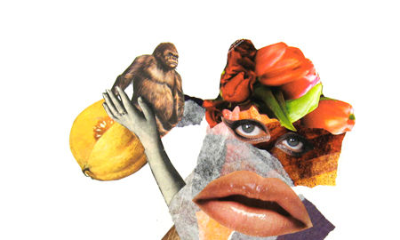 Mujeres y Primates