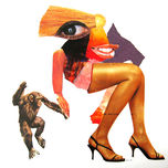 Mujeres y Primates thumbnail 1