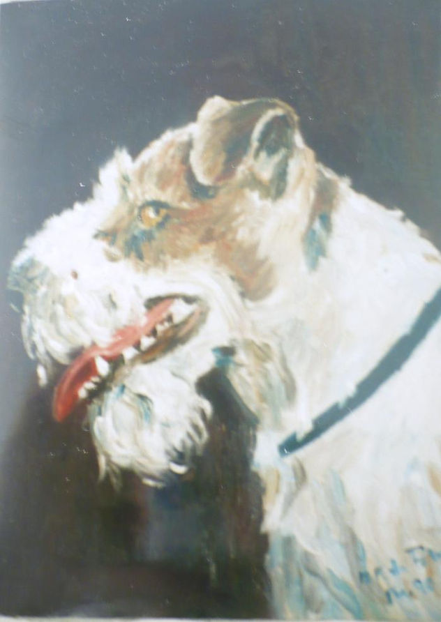 fox terrier