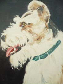 Fox terrier (2)