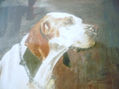 pointer