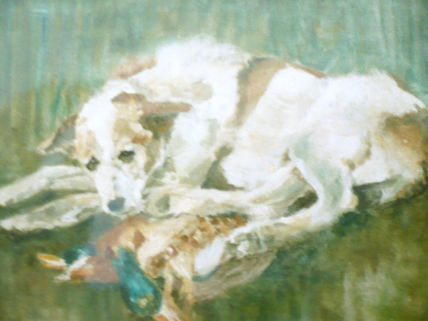Miso