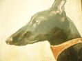 GALGO