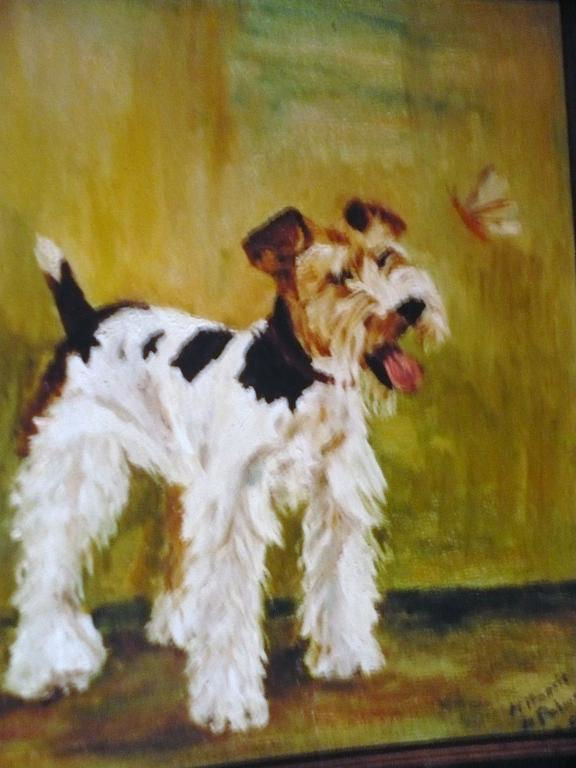 fox terrier con libelula