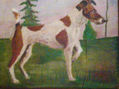 fox terrier pelo liso