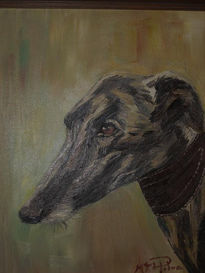 Galgo (2)