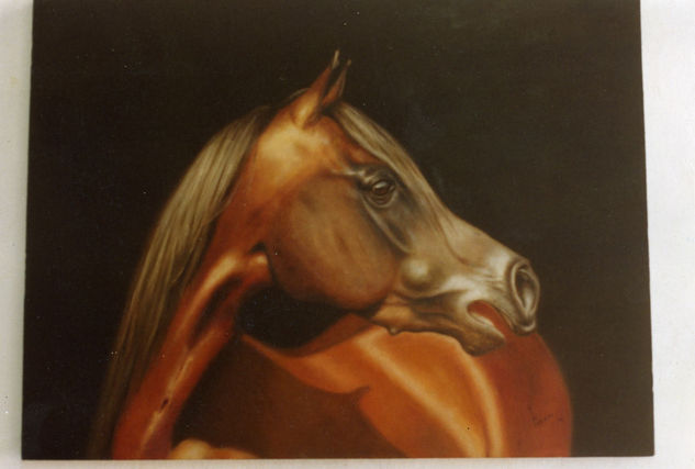 caballo Oil Canvas Animals