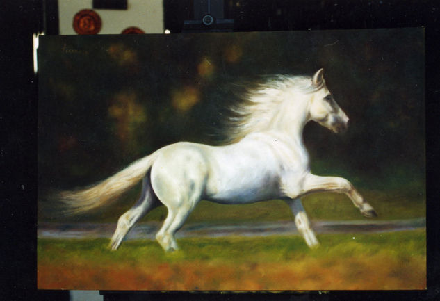 caballo Oil Canvas Landscaping