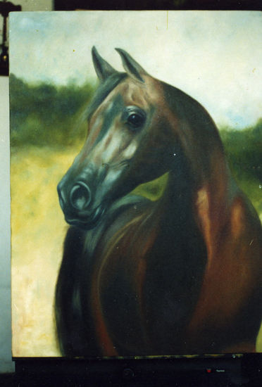 caballo Oil Canvas Animals