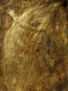 HOJA