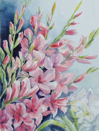 Gladiolas