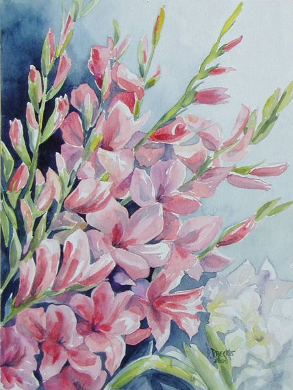 Gladiolas