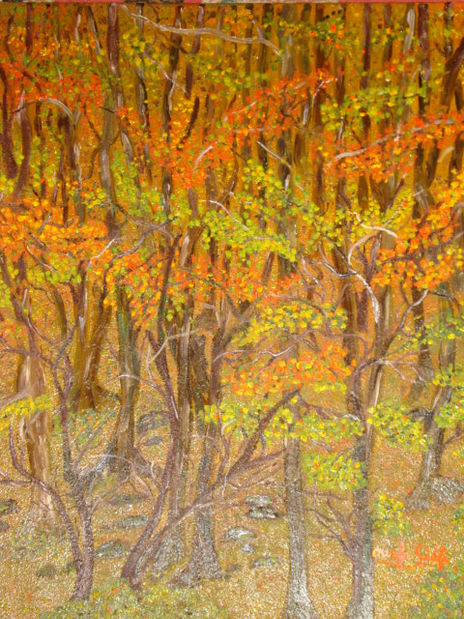 Bosque otoñal