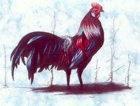 Gallo