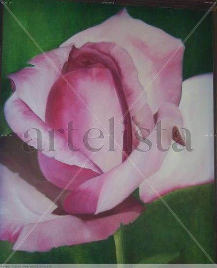 rosa rosa Oil Canvas Floral Painting