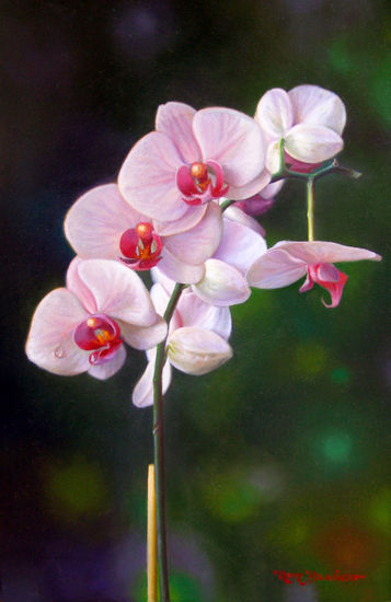 ORQUIDEAS I Oil Panel Floral Painting