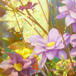 SERIE PAJAROS/FLORES/PAISAJES/ANIMALES thumbnail 1