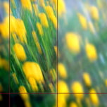 ELEMENTOS thumbnail 2