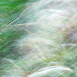 ELEMENTOS thumbnail 1
