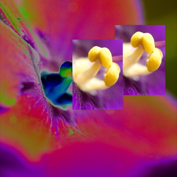 FANTASÍA III