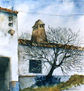 Cercanías