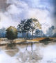 reflejo