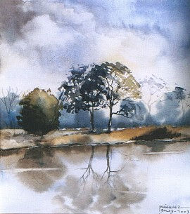 reflejo