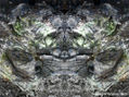 materia arbórea (1)