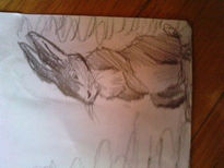 Animales