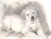 Perrito
