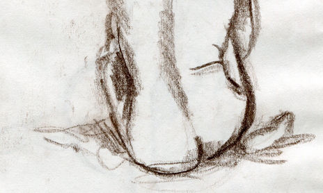 DESNUDOS