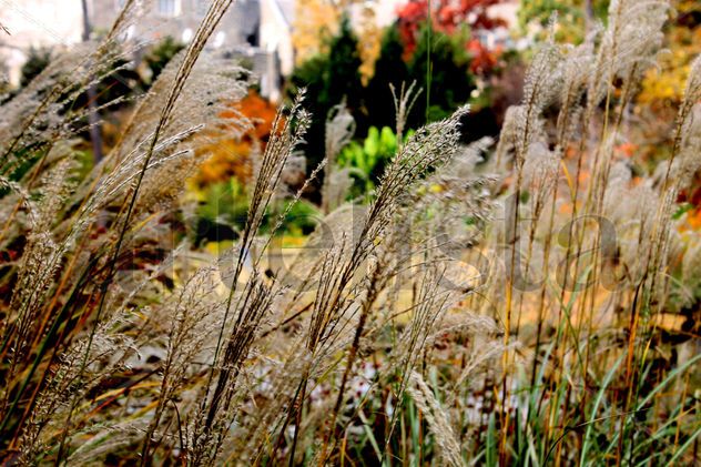 Sencillez en naturaleza