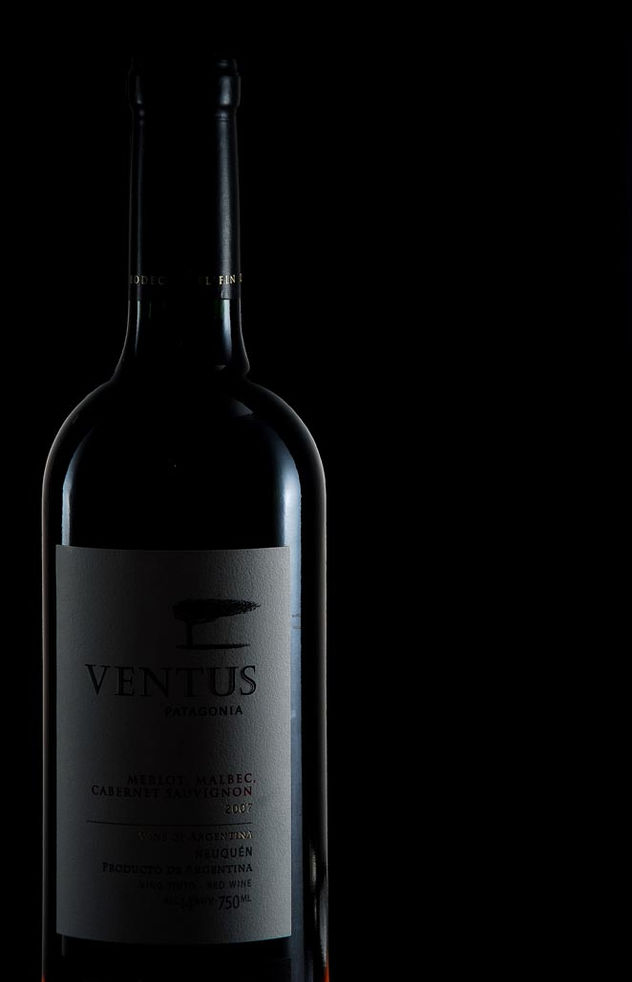 vinos de la patagonia