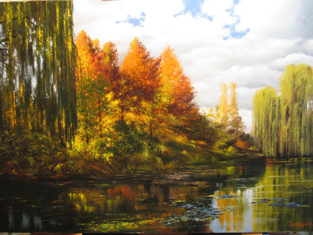 Bello paisaje(Error medidas y precio)