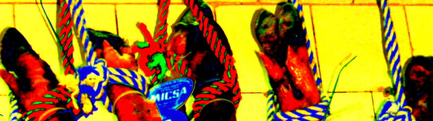 pezuñas