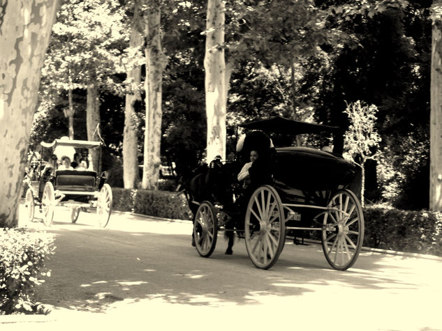 COCHES DE CABALLO 