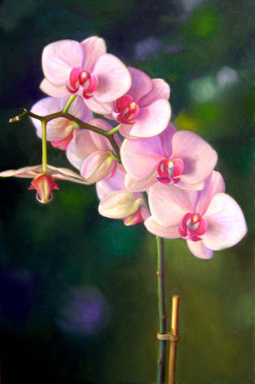 ORQUIDEAS II Oil Canvas Floral Painting