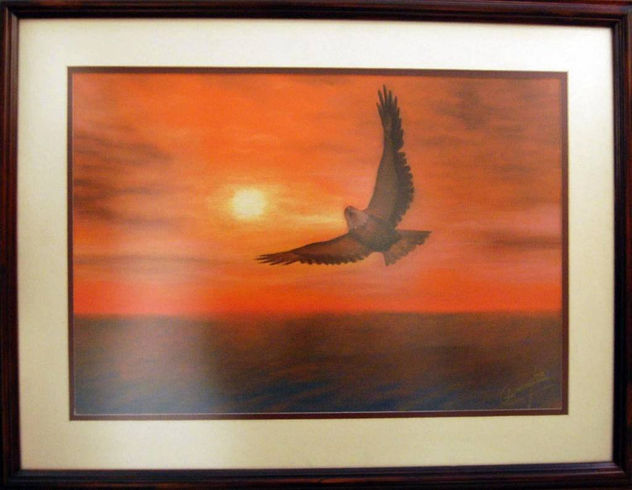 VOLAR LIBRE